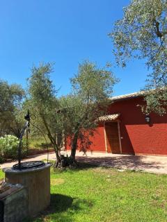 Terre di Cornossa - Marta - 7