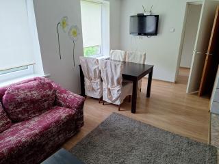 Pamario apartamentai - Kaunas - 4