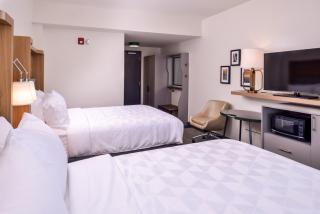 Holiday Inn Detroit Northwest - Livonia by IHG - Livonia - 9