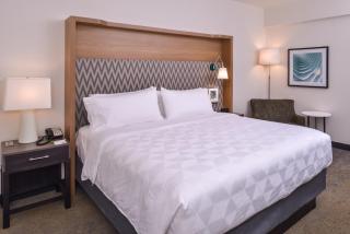 Holiday Inn Detroit Northwest - Livonia by IHG - Livonia - 7