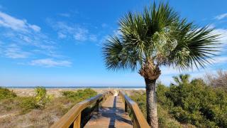 Lighthouse Point 28B by Tybee Beach Vacation Rentals - Tybee Island - 7