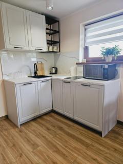 Apartament pod laskiem - Bystrzyca Kłodzka - 9