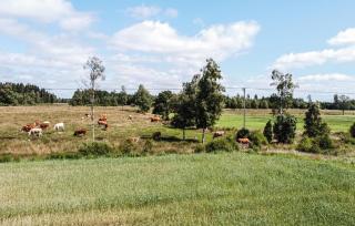 Awesome Home In Vislanda With Wifi - Vislanda - 2