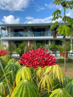 Cute studio-apartment near the beach - Uvita - 3