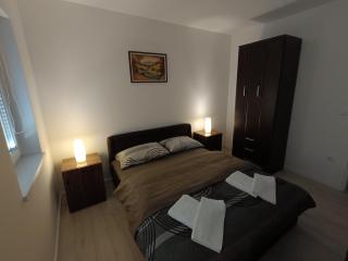 Apartman Petrovic 4 - Sokobanja - 0