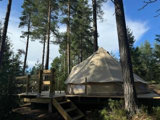 Tranan glamping - 6