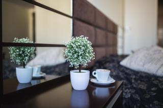 Hotel SPA Arkadia - Apšuciems - 8