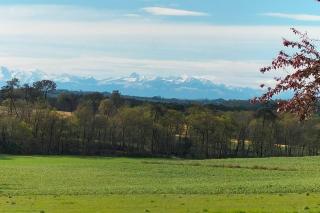 Ferme rénovée tout confort en pleine campagne - Larbey - 7