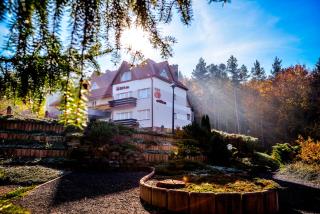Elita Hotel & Restauracja - Iwonicz-Zdrój - 0