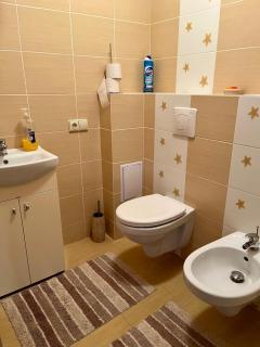 Druskininkai Apartment - Druskininkai - 5