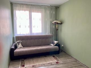 Druskininkai Apartment - Druskininkai - 3