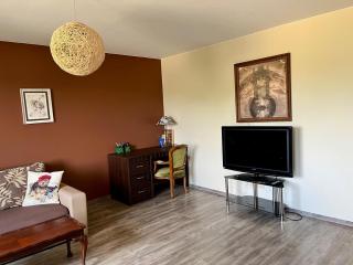Druskininkai Apartment - Druskininkai - 7