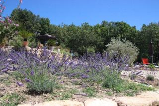 Gîte Pèbre d'aï avec Piscine Partagée - Gordes - 3