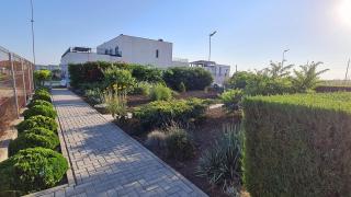 Casa Bellevue - Costinesti - 5