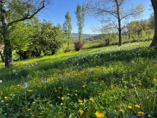Bergerie - Montjustin - 4