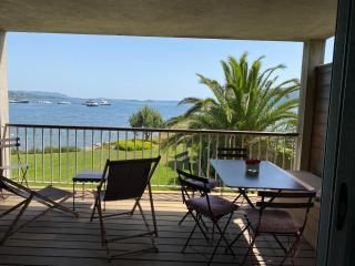 Les oliviers 6 - Appartement pieds dans l'eau - Porto-Vecchio - 8