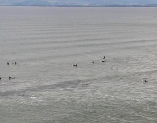 Glenhaven Bundoran - Single Street - 2