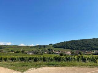Les Hirondelles De Fuiss - Fuissé - 8