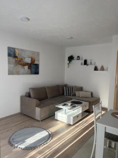 Apartman VuleVu - 9