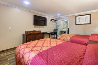 Sky Palm Motel - Orange - Orange - 4