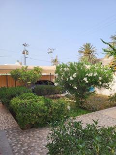 Villa avec piscine Djerba - Taguermess - 6