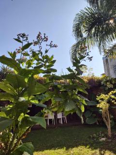 Casa San Isidro pileta jardín parrilla a metros del río - San Isidro - 9