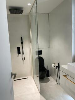 Modern Flat Floreasca - 1