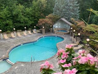 Misty Mountain By Beyond Expectations W Hot Tub - 1