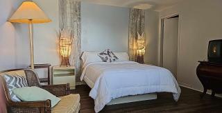 Hotel Oasis Lac St-Louis - 4