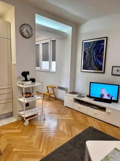 Apartments Mango Downtown - Zagreb - 7