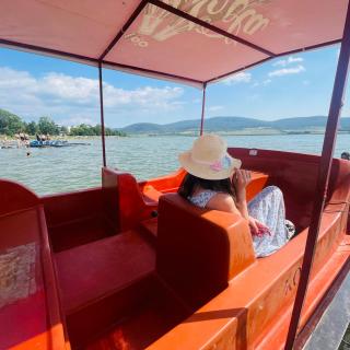 Bazaleti lake home - 7