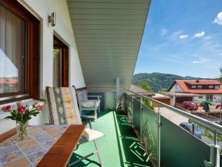 Apartment in Kleines Wiesental, Sallneck - 3
