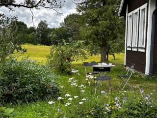 Drusti meadow - Drusti - 2