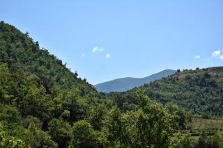 La Casetta B&B - Verbicaro - 7