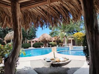 Bioluminiscencia Hostel Tours - South - Paquera - 7