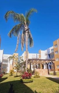 departamento en yecapixtla - 4