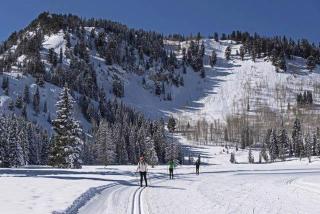 Twin Peaks Lodge - 5