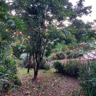 Habitation Bois DInde - 2