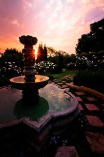 Little Tuscany Boutique Hotel - Johannesburg - 5