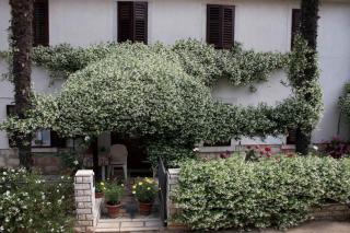 Apartments in Funtana - Istrien 41781 - Funtana - 1
