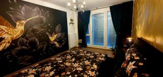 Apartmán Zase jako doma - Olmütz - 7