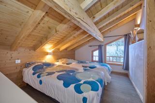 Chalet les Niverolles PARADISKI - 6