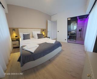 Penthouse Centru City View Baia Mare - 1