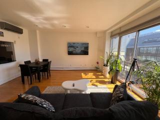 Mulzac Rentals - Loft Penthouse - Brooklyn - 9