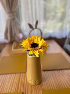 Rockley Valley TV36 - 6