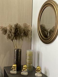 Kristal Center, Studio,near Artificial Lake - Tirana - 4