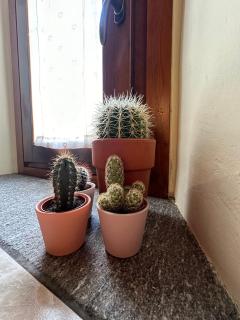 La comoda casetta CIR 0490 - 7