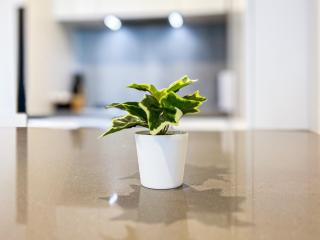 Modern Style 2br1ba In Cbdpoolgymwi-fi - Melbourne - 6