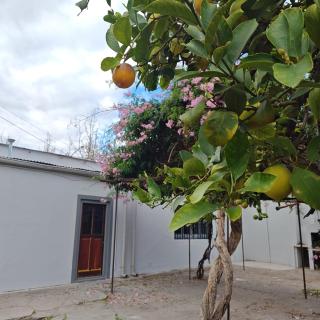 Alojamiento turístico Bignonia Rosa - 3
