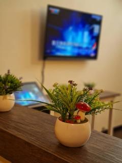 Auguri Homestay - Ipoh - 6